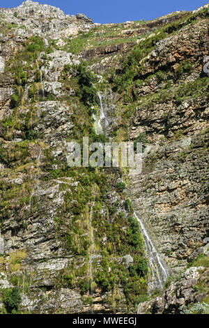 Ribbon waterfall in the sunshine from the Tweede Waterval hike in the Jonkershoek, Cape Nature nature reserve, garden route, south africa Stock Photo