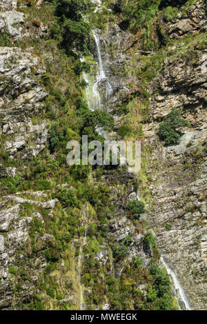 Ribbon waterfall in the sunshine from the Tweede Waterval hike in the Jonkershoek, Cape Nature nature reserve, garden route, south africa Stock Photo