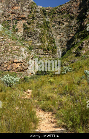 Ribbon waterfall in the sunshine from the Tweede Waterval hike in the Jonkershoek, Cape Nature nature reserve, garden route, south africa Stock Photo