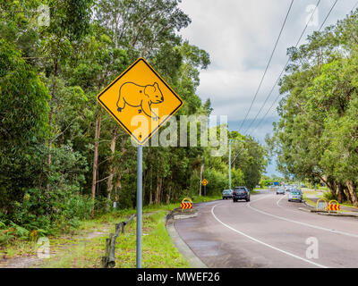 Roadside sign warning for motorists to be aware of koalas in the area Stock Photo