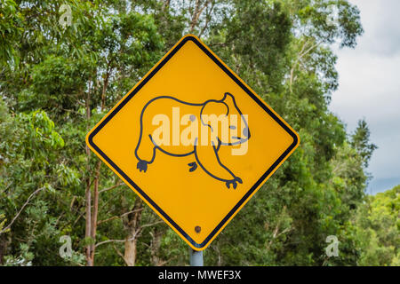 Roadside sign warning road users to be aware of koalas in the area Stock Photo