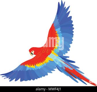 Ara macaw parrot spread wings vector Stock Vector