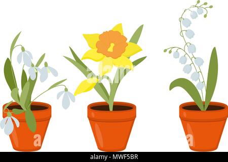Spring flowers growing in the pods. Lily of the valley and daffodils isolated on white background. Stock Vector