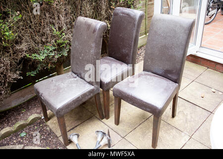 Empty wooden chairs in the garden. Old and used leathered chairs in the garden. Four dirty chairs. Home renovations and improvements. Washing and clea Stock Photo
