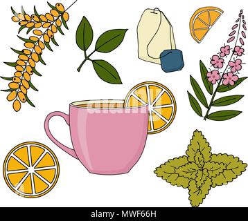 Herbal tea set. Herbal tea cup, plants and fruits on white background Stock Vector