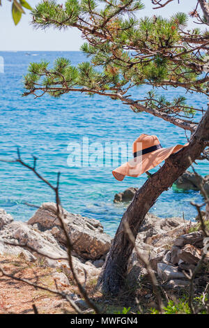 Abandoned straw hat hanging in a pine on a rocky seaside. Stock Photo
