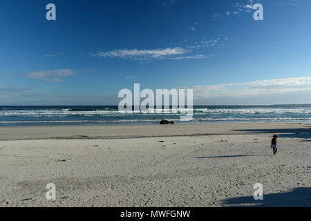 Grotto blue flag Beach hermanus on the tourist garden route, south africa Stock Photo