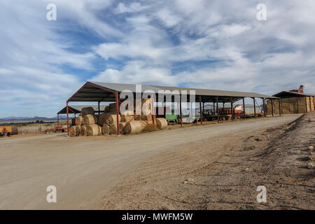 farm buildings with hay-bales near Oudtshoorn on the garden route, south africa, Stock Photo