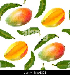 Vector seamless pattern with realistic mango isolated on white. Bright tasty fruit. Illustration used for magazine, kitchen textile, greeting cards, menu cover, web pages. Stock Vector