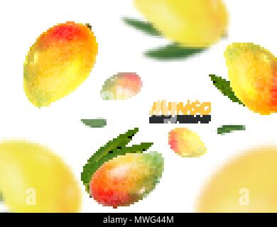 Falling mangoes fruit isolated on white background. Vector 3d illustration Stock Vector