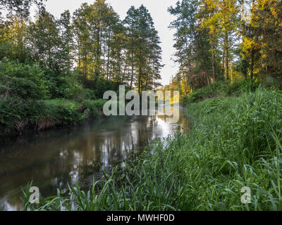 Foggy morning in countryside. Toczna River. Patkow. Podlasie. Podlachia. Poland, Europe. The region is called Podlasko or Podlasze Stock Photo