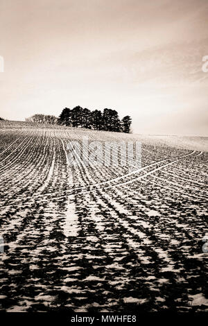 Winter field landscape in Auvergne. France Stock Photo