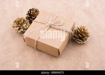 Pine cone on a light  brown background Stock Photo