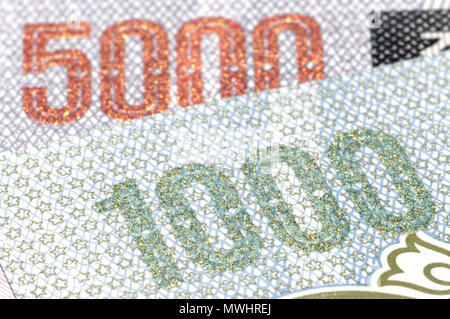 Detail from North Korean banknotes showing 1000 and 5000 in reflective raised ink Stock Photo