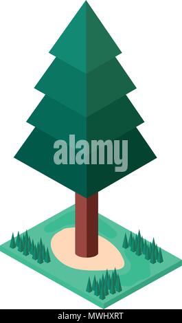 pine tree plant with grass isometric icon Stock Vector
