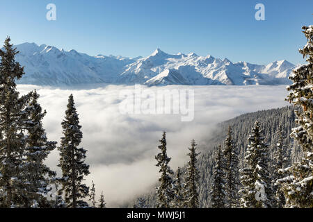 Alpine valley filled with low cloud and snow covered fir trees in Zell Am See, Austria Stock Photo