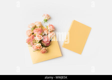 beautiful pink roses in envelope isolated on white Stock Photo