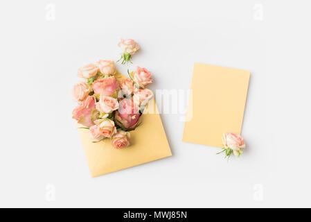 beautiful pink roses in envelope isolated on white Stock Photo