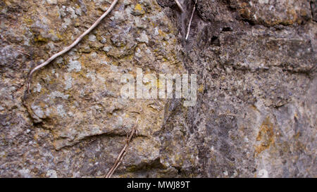 Textures in stone and brickwork Stock Photo
