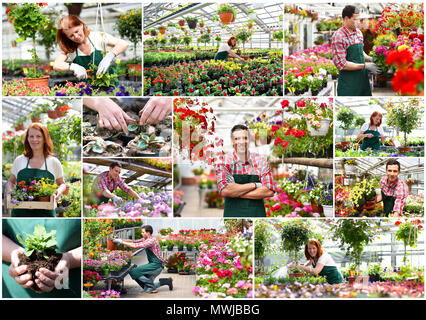 collage flower nursery - man and woman working in a nursery - production of flowers for sale Stock Photo