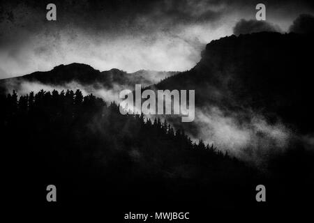 dark landscape with foggy forest at night and grungy textures. Black and white Stock Photo