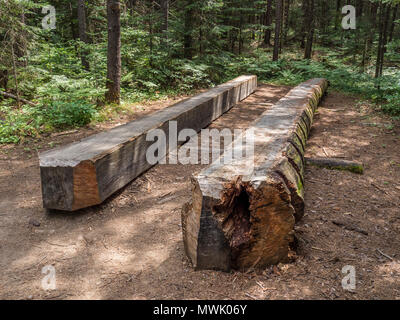 Squared logs, Algonquin Logging Museum, Algonquin Provincial Park, Ontario, Canada. Stock Photo