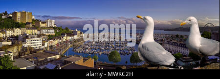 GB - DEVON: Torquay Harbour & Town on the Eglish Riviera Stock Photo