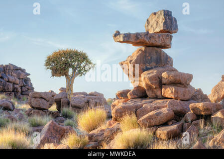 Quiver Tree Forest, Keetmanshoop, Namibia, Africa Stock Photo