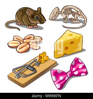 The set of objects on the subject of catching mice. Vector illustration. Stock Vector