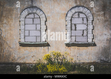 Two old arch windows covered with bricks, yellow flowers in the center. Stock Photo