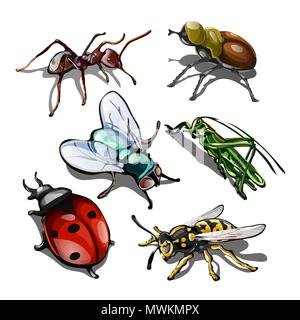 Set of insects isolated on white background. Vector illustration. Stock Vector