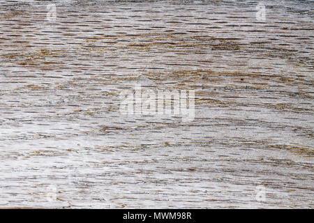 old weathered rustic wood, sun-damaged, dried and light color Stock Photo