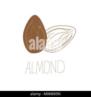 Delicious almond nuts. hand drawn icon. Vector design for product packing Stock Vector