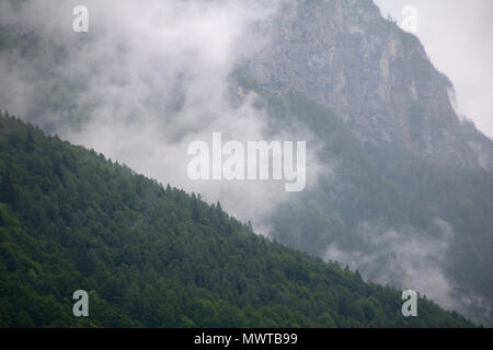 foggy clouds rising from dark mountain forest Stock Photo