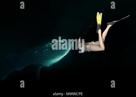 Woman dives to  a Whale Shark (Rhincodon typus) filter-feeding plankton in the night Stock Photo