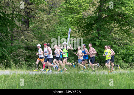 Stockhom, Sweden. 2nd June 2018. Runners in lush surroundings during the Stockholm Marathon 2018 in very hot conditions. Credit: Stefan Holm/Alamy Live News Stock Photo