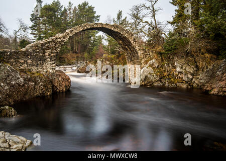 The old packhorse bridge built in 1717 over the River Dulnain in the village of Carrbridge near Aviemore in the Cairngorms, Scotland, UK Stock Photo