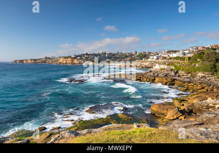 Coastline of Bondi to Bronte walk, Sydney, New South Wales, Australia, Pacific Stock Photo