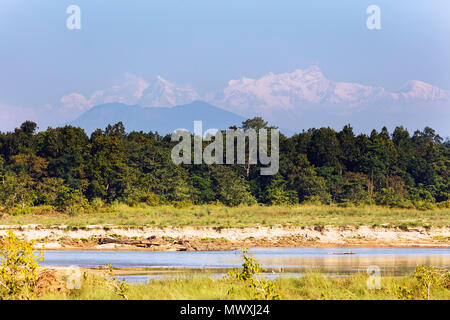 Manaslu mountain range rising 8000m plus in the Himalayas, above the Terai plains, Chitwan National Park, UNESCO World Heritage Site, Nepal, Asia Stock Photo