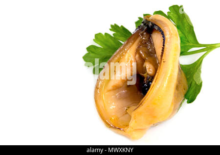 Seafood, Close up Mussels isolated on white background with clipping path. Stock Photo