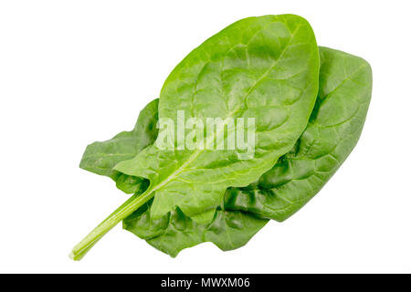 Spinach leaves close up isolated on white background with clipping path. Stock Photo