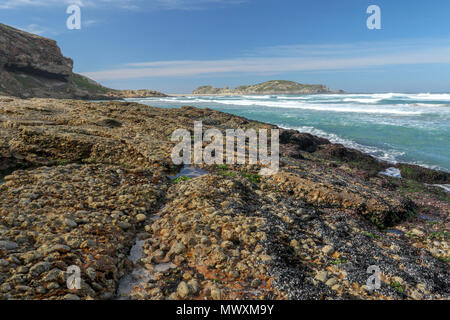 landscape of the beach in the robberg nature reserve near plettenberg bay. Garden route, south africa Stock Photo