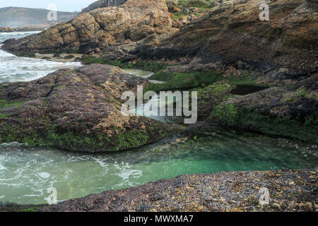 landscape of the beach in the robberg nature reserve near plettenberg bay. Garden route, south africa Stock Photo