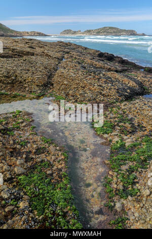 landscape of the beach in the robberg nature reserve near plettenberg bay. Garden route, south africa Stock Photo