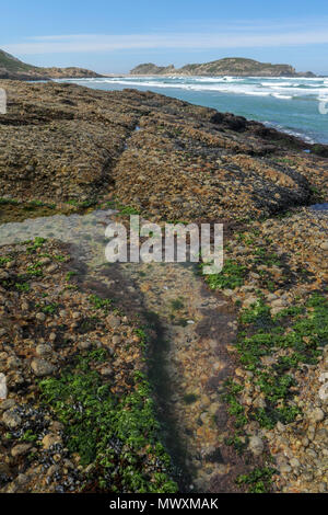 landscape of the beach in the robberg nature reserve near plettenberg bay. Garden route, south africa Stock Photo