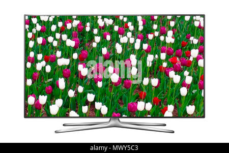 Smart tv isolated on white with tulip flowers on the screen Stock Photo