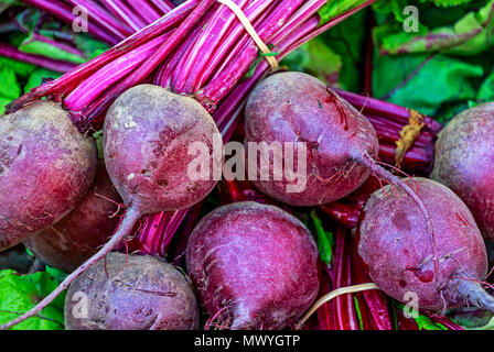 Fresh harvested tasty red beets with leaves Stock Photo