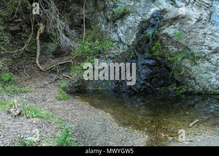 Small waterfall on the mouth trail at the Tsitsikamma, protected area, Garden Route, Cape, South Africa, Stock Photo