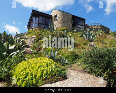 Cafe and shop in the gardens at the open air Minack Theatre theater, Porthcurno in Cornwall, England, UK, showing some of the succulents grown there. Stock Photo