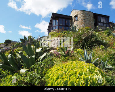 Cafe and shop in the gardens at the open air Minack Theatre theater, Porthcurno in Cornwall, England, UK, showing some of the succulents grown there. Stock Photo